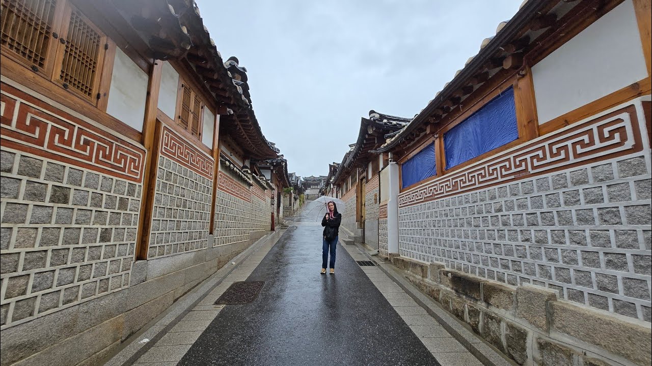 Coreia do Sul Seoul - Myeongdong(comida de rua, loja cosmético), palácio Gyeongbokgung, aldeia Hanok