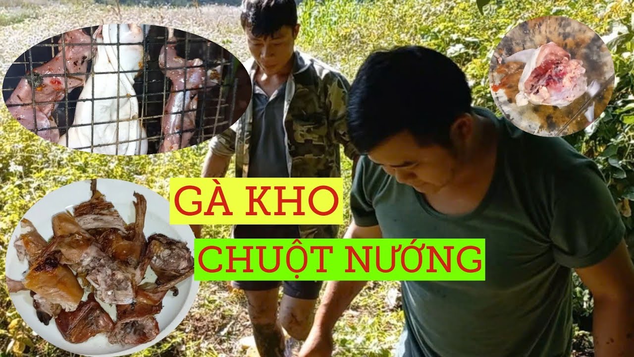 THĂM BẪY CHUỘT