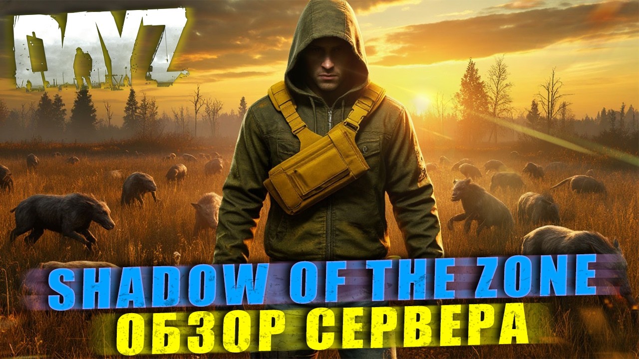 DAYZ | ПРОМО | ОБЗОР СЕРВЕРА | ГЛОБАЛЬНОЕ ОБНОВЛЕНИЕ на SHADOW OF THE ZONE PVE
