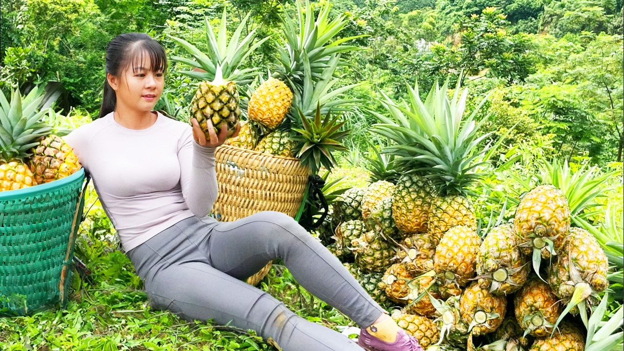 Harvest Pineapple Goes To Market Sell - Sow Spinach Seeds | Phuong Daily Harvesting