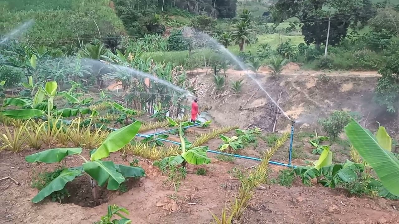 motobomba Toyama trabalhando como você nunca viu