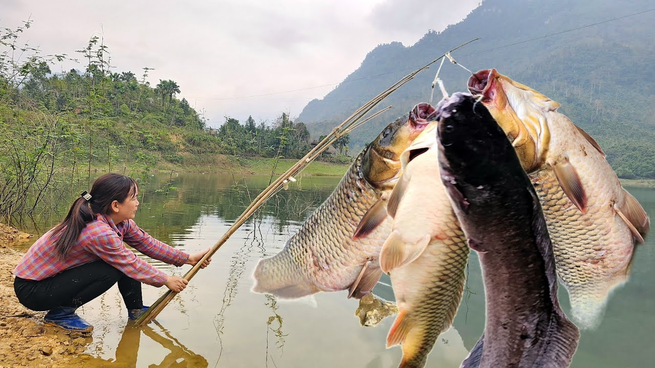 Traditional fishing technique - The girl caught a large school of carp with her bamboo fishing rod.