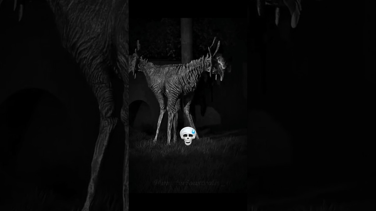 night cripi animals 💀#shortsfeed#trollingface#trolledit#trending