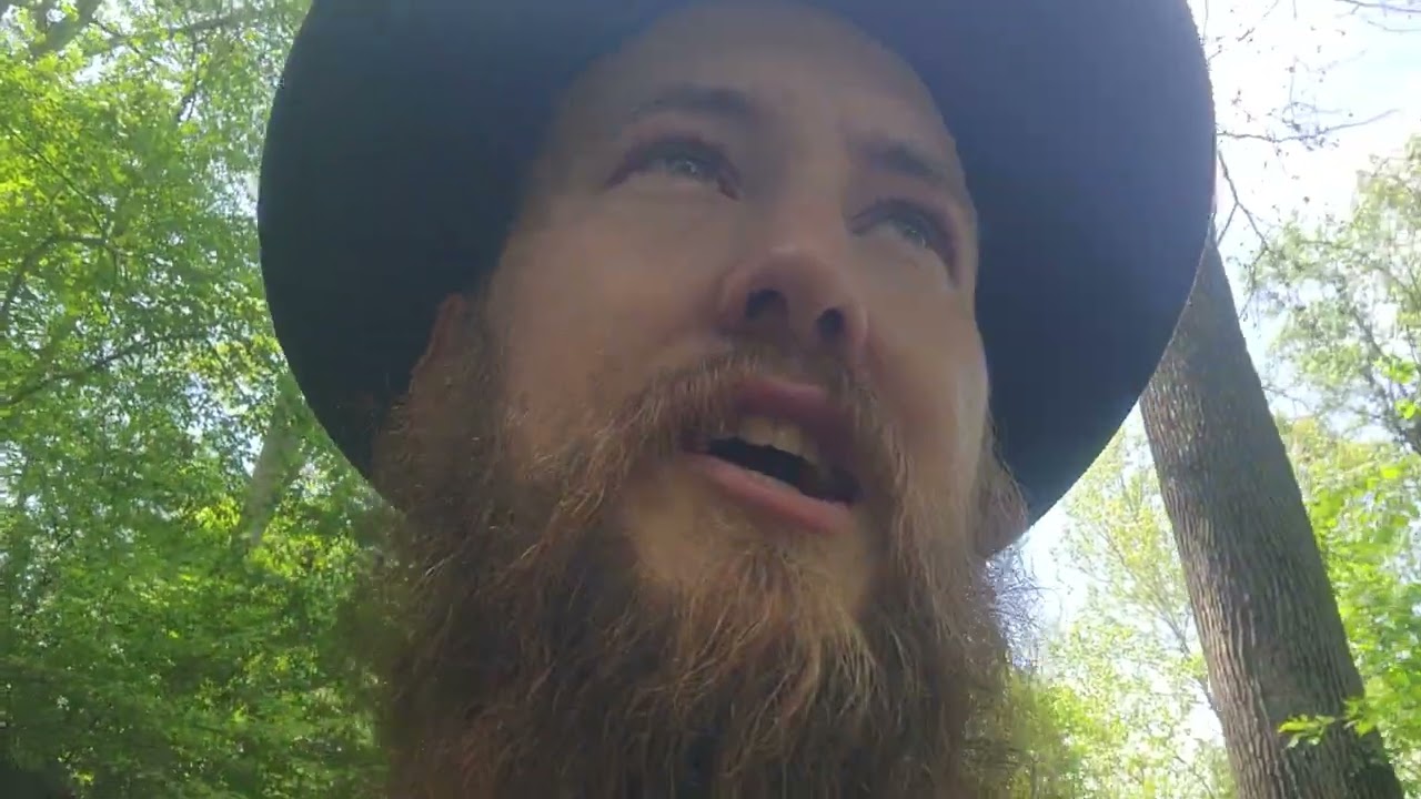Status report 04/17/2025 (i'm thinking of quitting youtube)