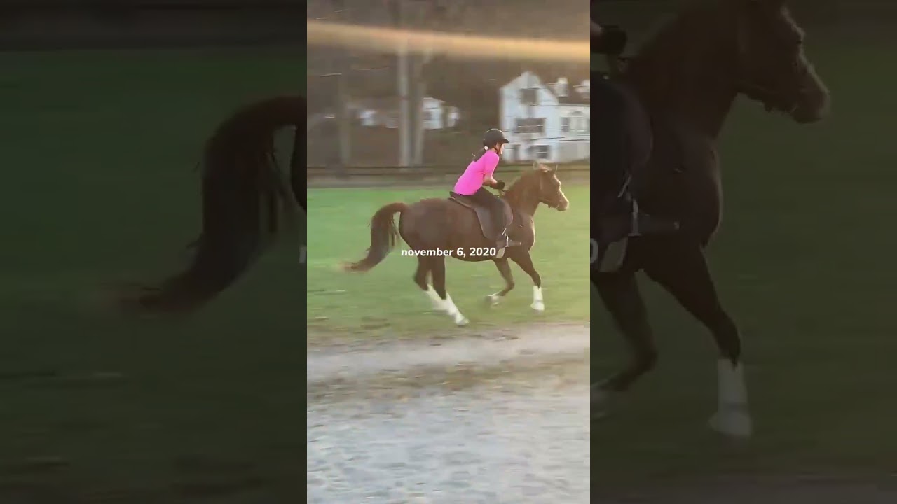 same rider, same arena, 4 years apart. #horse #saddlebred #saddleseat #equestrian #glowup