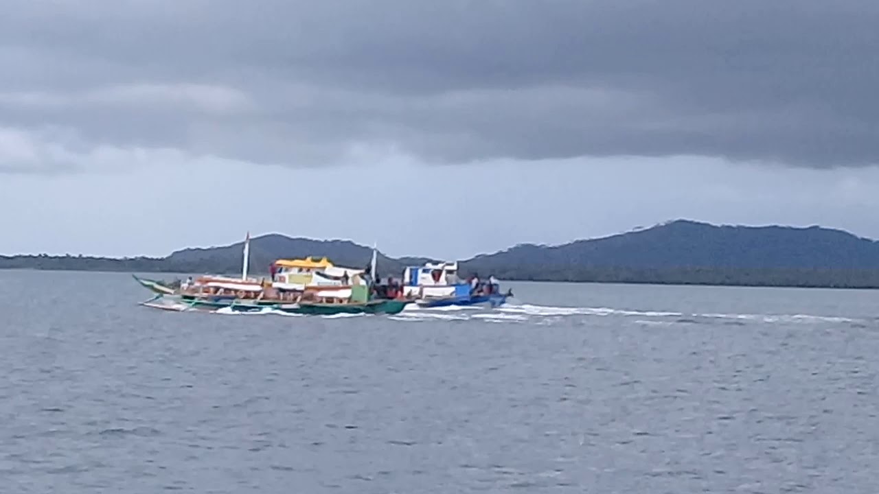 THE FAST AND THE FURIOS