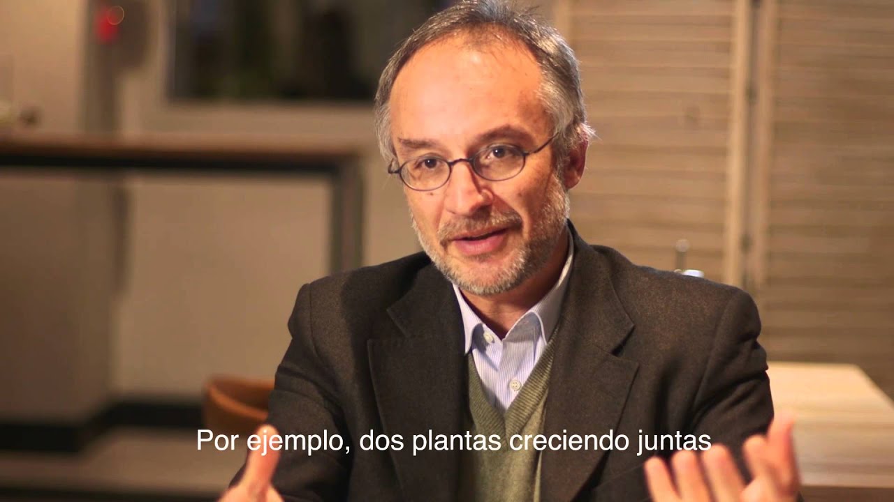 Entrevista Stefano Marcuso - Plantas que eligen películas