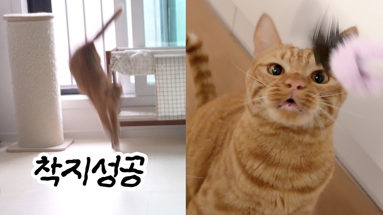 오랜만이에요 라미라미 | 평생 약먹어야 하는 초롱이
