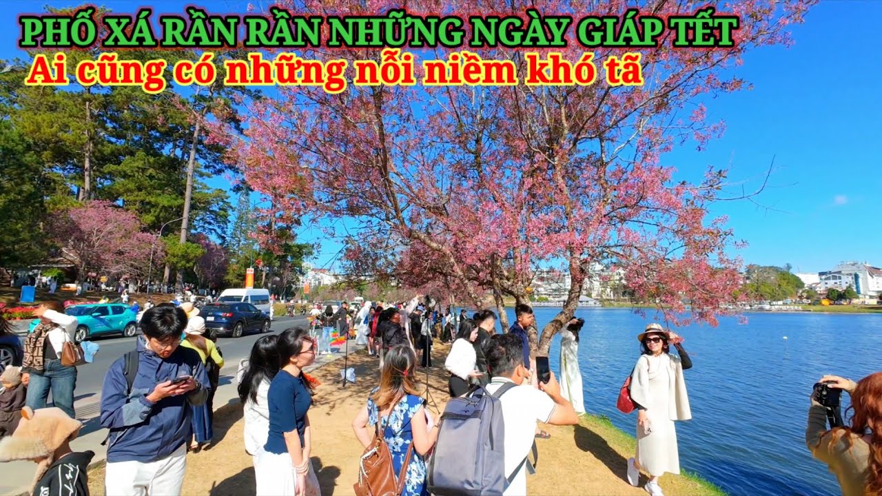 ĐÀ LẠT PHỐ XÁ RẦN RẦN NHỮNG NGÀY GIÁP TẾT, AI CŨNG CÓ NỖI NIỀM KHÓ TÃ