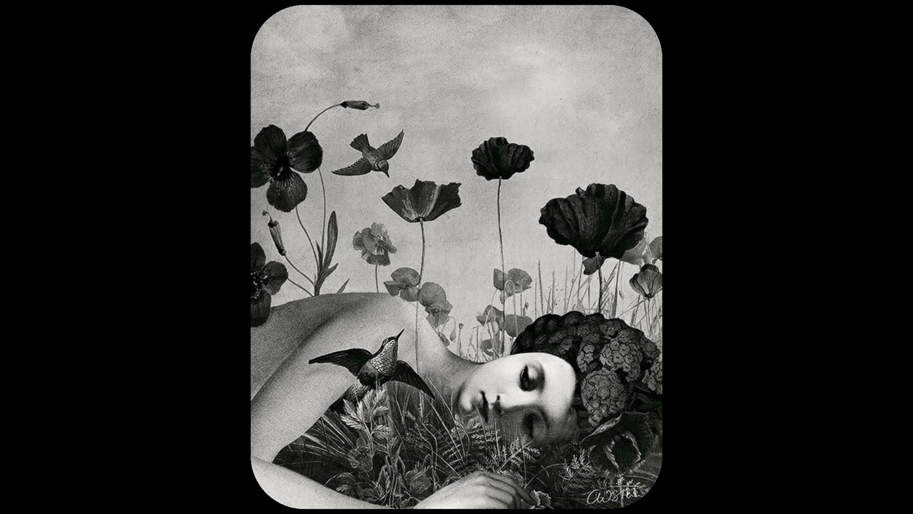 [FREE] Huntrill x Alpha Wann x Jungle Jack Type Beat ~ Fleurs du Mal