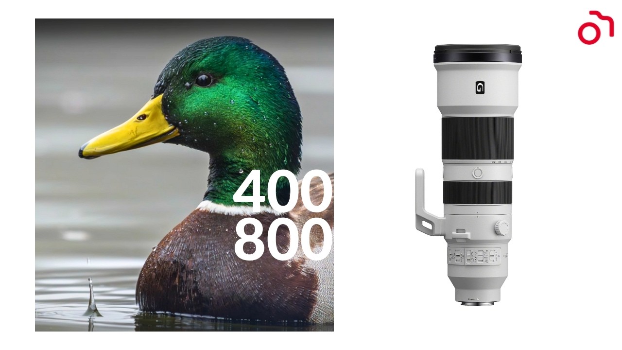 Testujemy Sony 400-800 mm f/6.3-8 G OSS