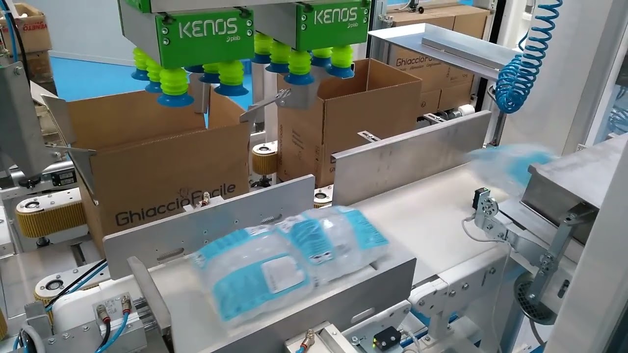 Inboxing bags with a cups vacuum gripper