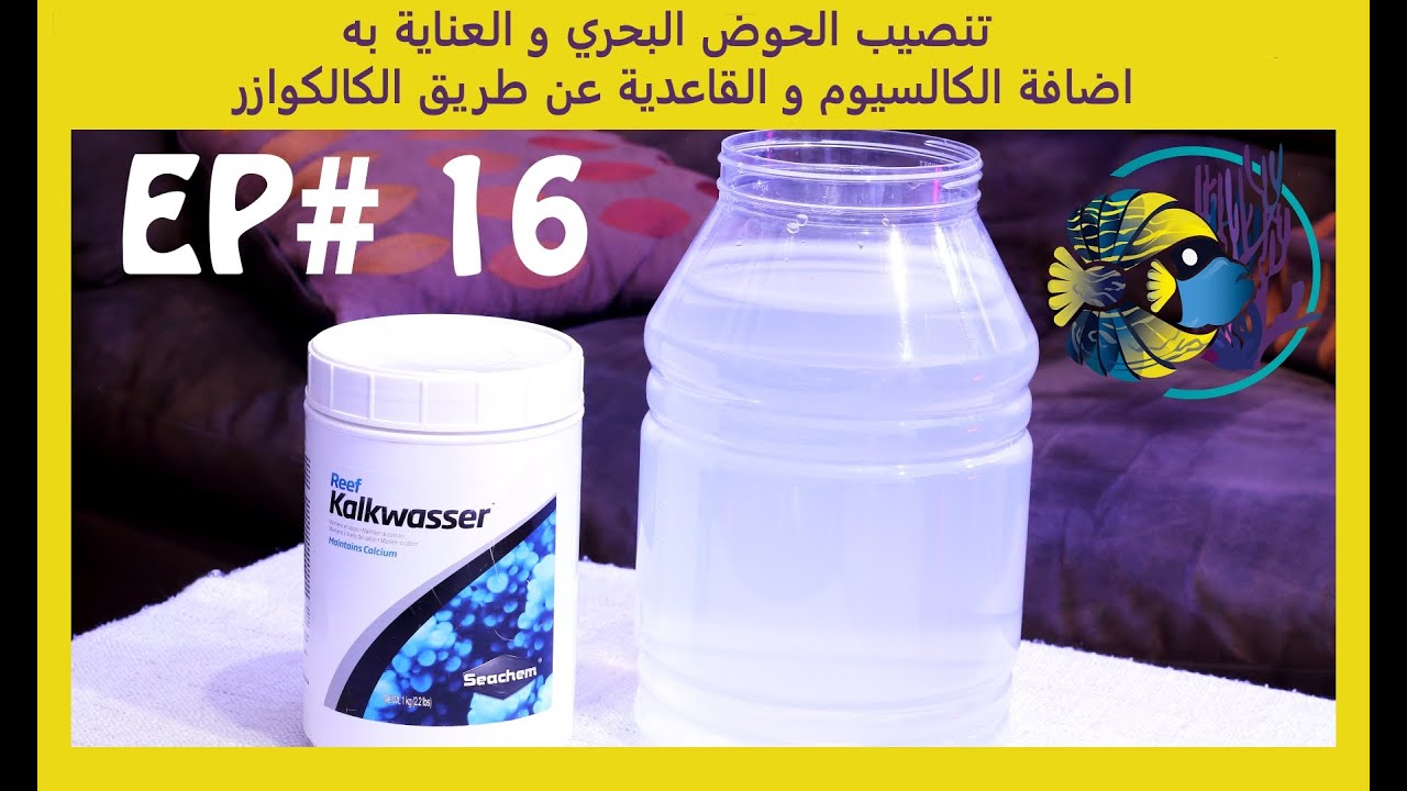 #16 تنصيب الحوض البحري و العناية به - الكالكوازر