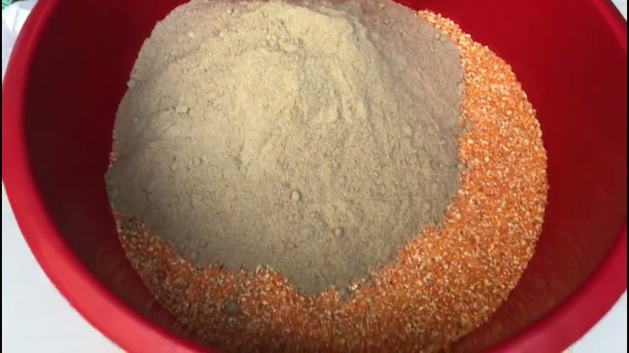 Alimento Balanceado para cerdos de engorde l Gordimix