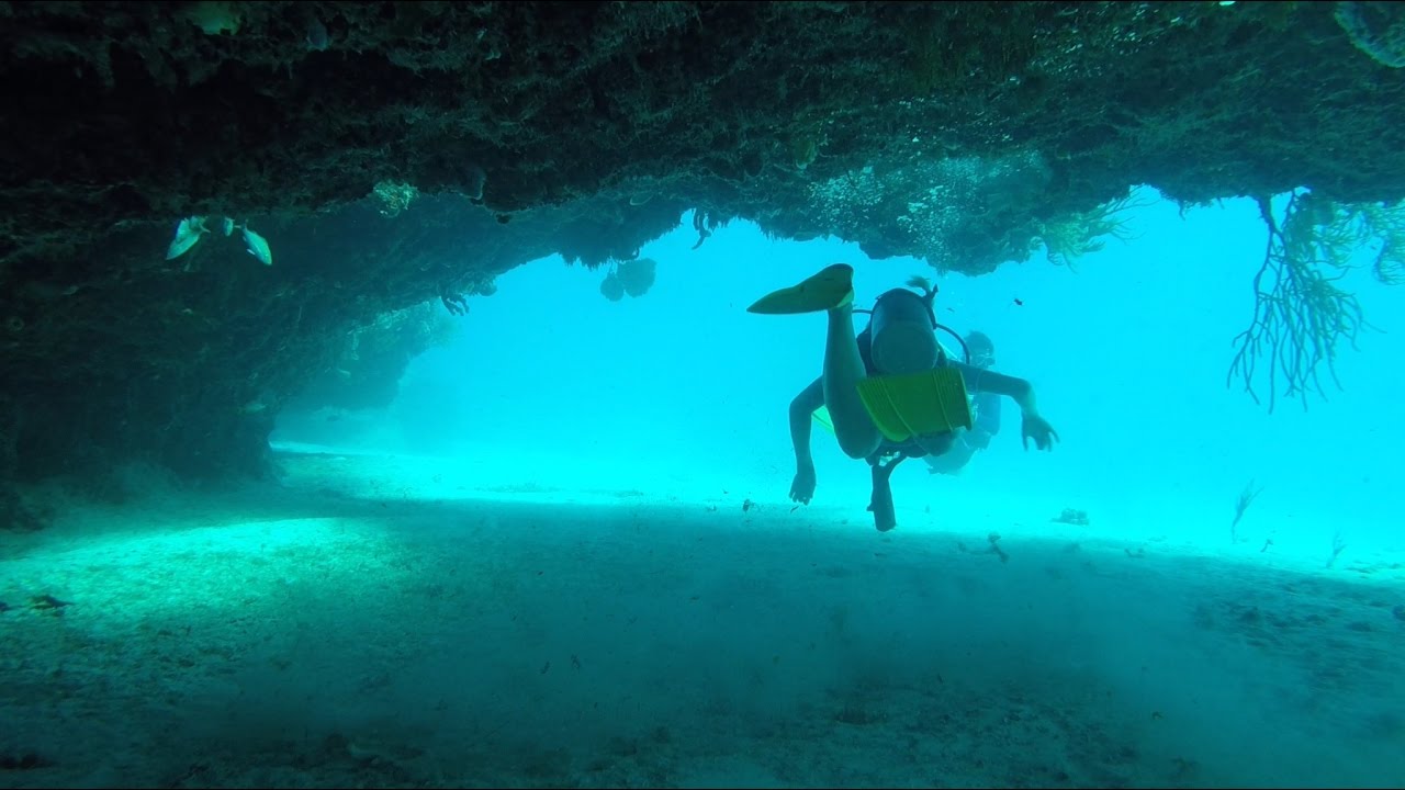 Riu Yucatan Mexico Scuba Caribe Diving - BEST DIVE at Sabalos