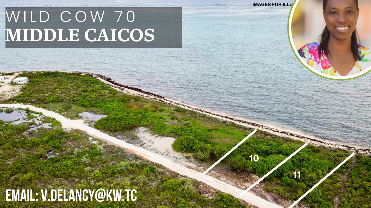 Wild Cow Run | North Caicos | Real Estate with Vernica Delancy