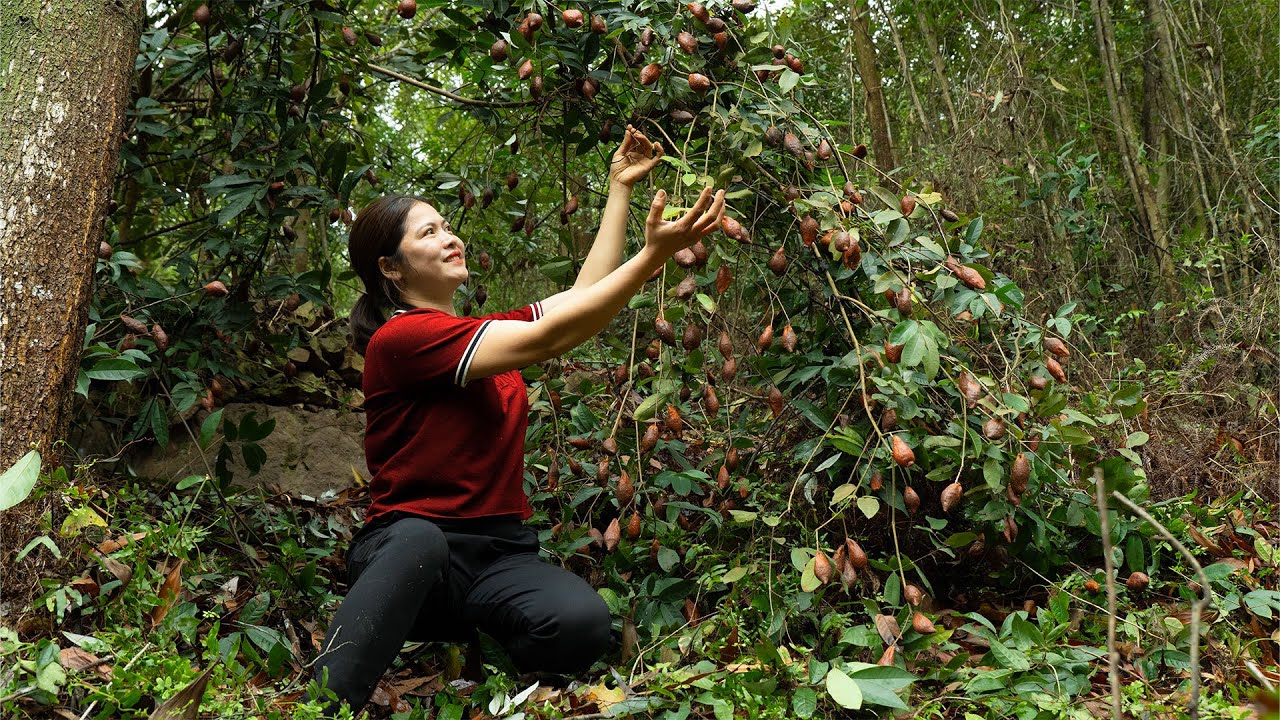 Wild Fruit Harvest & Traditional Cooking in the Countryside | Simple Rural Life & Nature Living