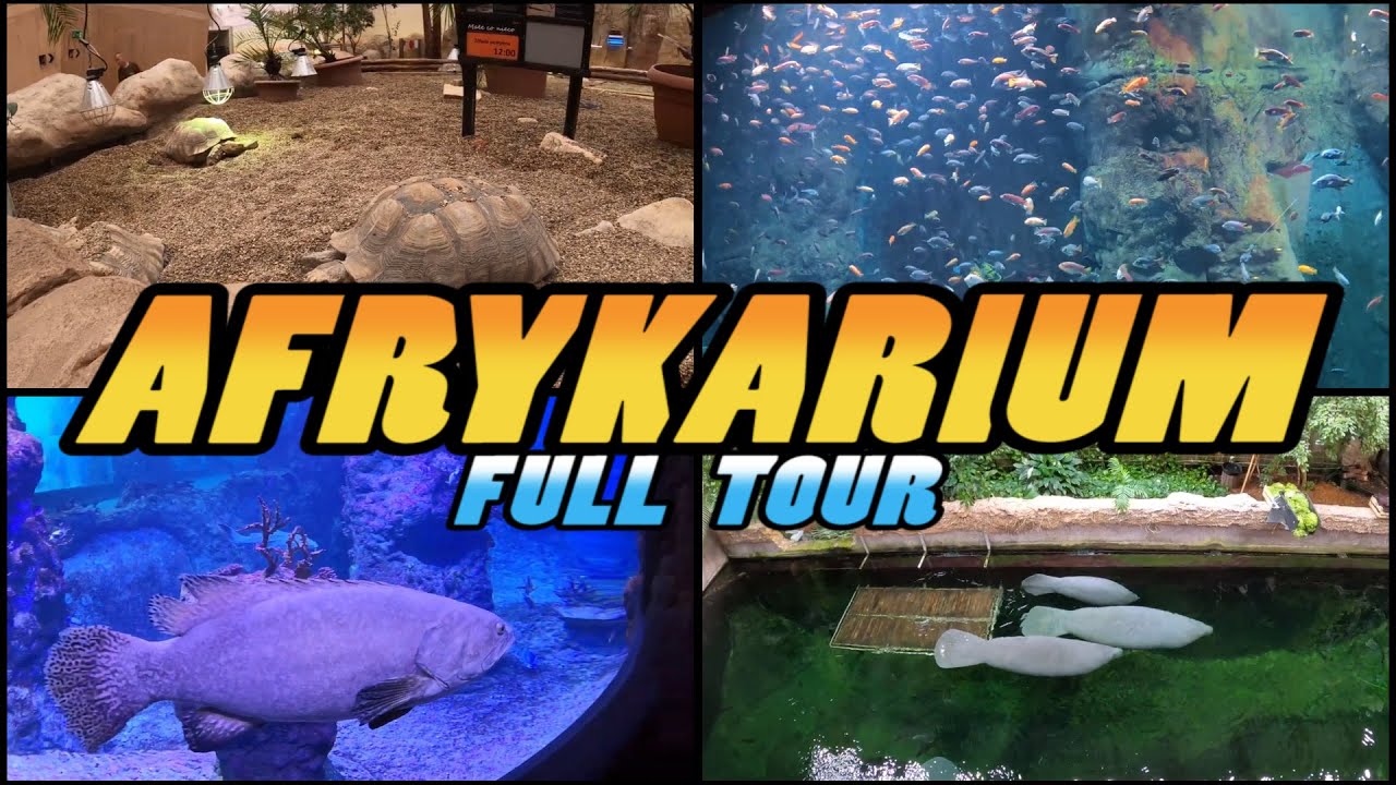 AFRYKARIUM Zoo Wrocław Walking Tour - Africarium Zoo Wrocław - Poland (4k)