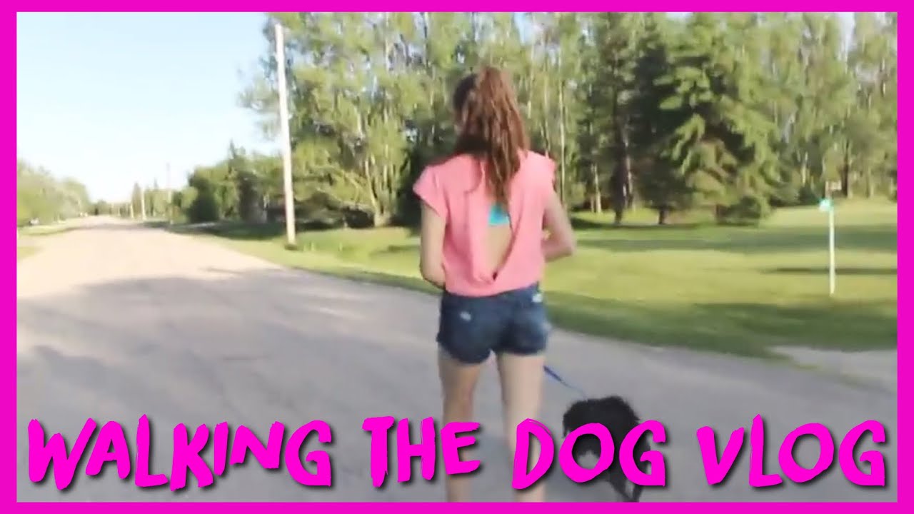Walking The Dog | Vlog