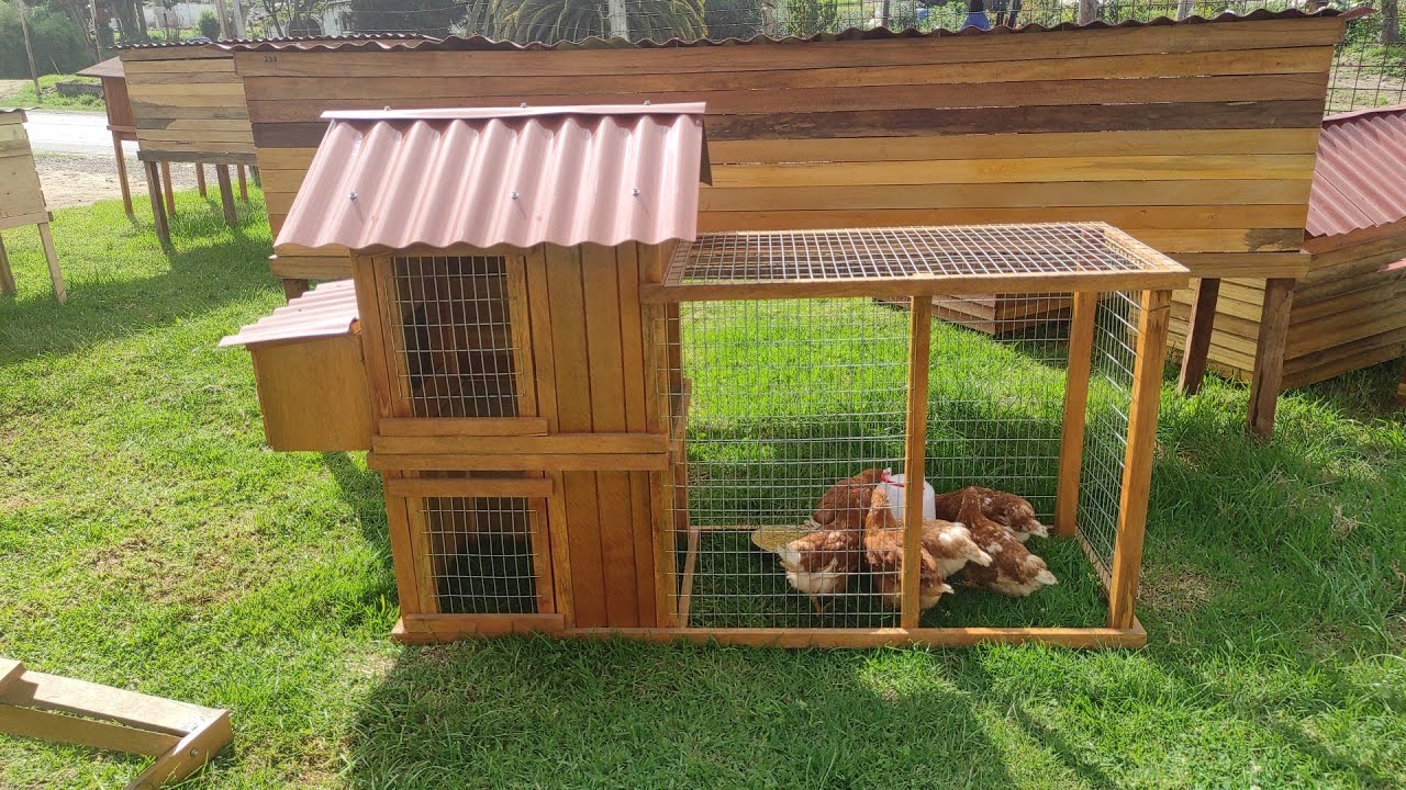 Gallinero para 4 a 6 Gallinas