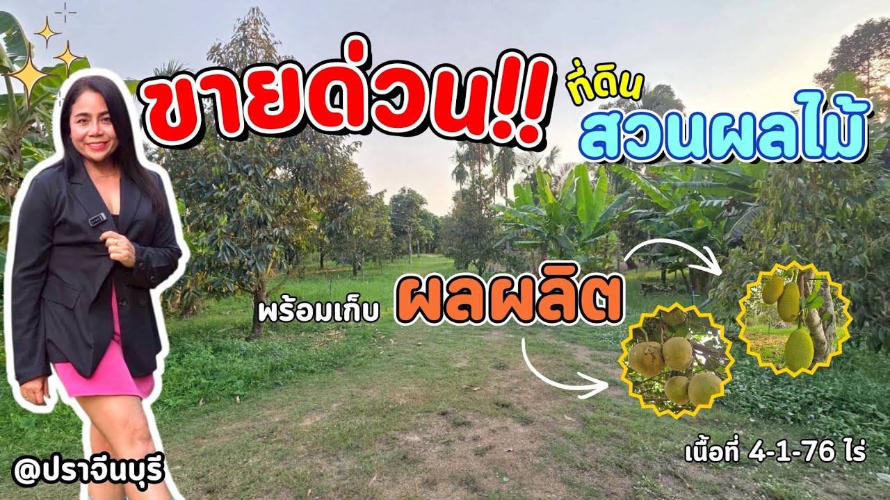 📣ราคาถูก 🔥จนน่าตกใจ 🍋 #สวนผลไม้ #ของดีเมืองปราจีนบุรี ไร่ละ800,000บ.