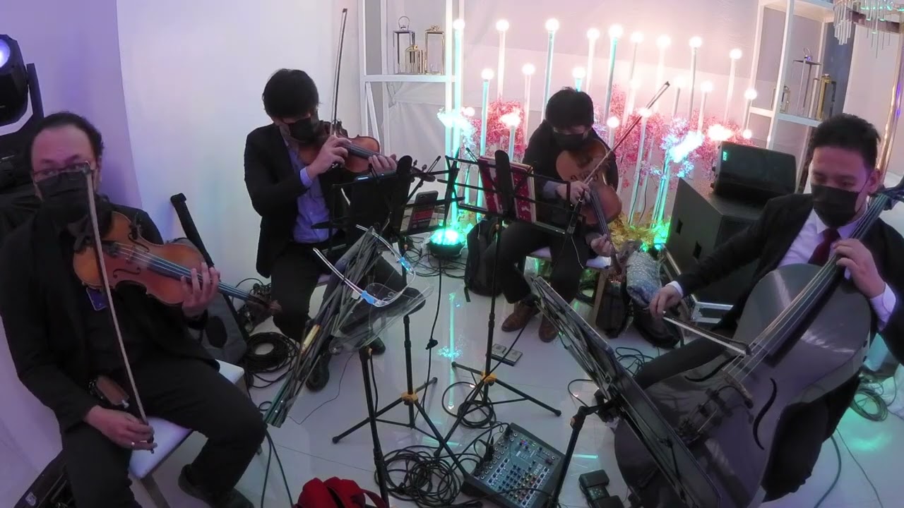 Never Seen Anything Quite Like You (The Manila String Machine Cover)