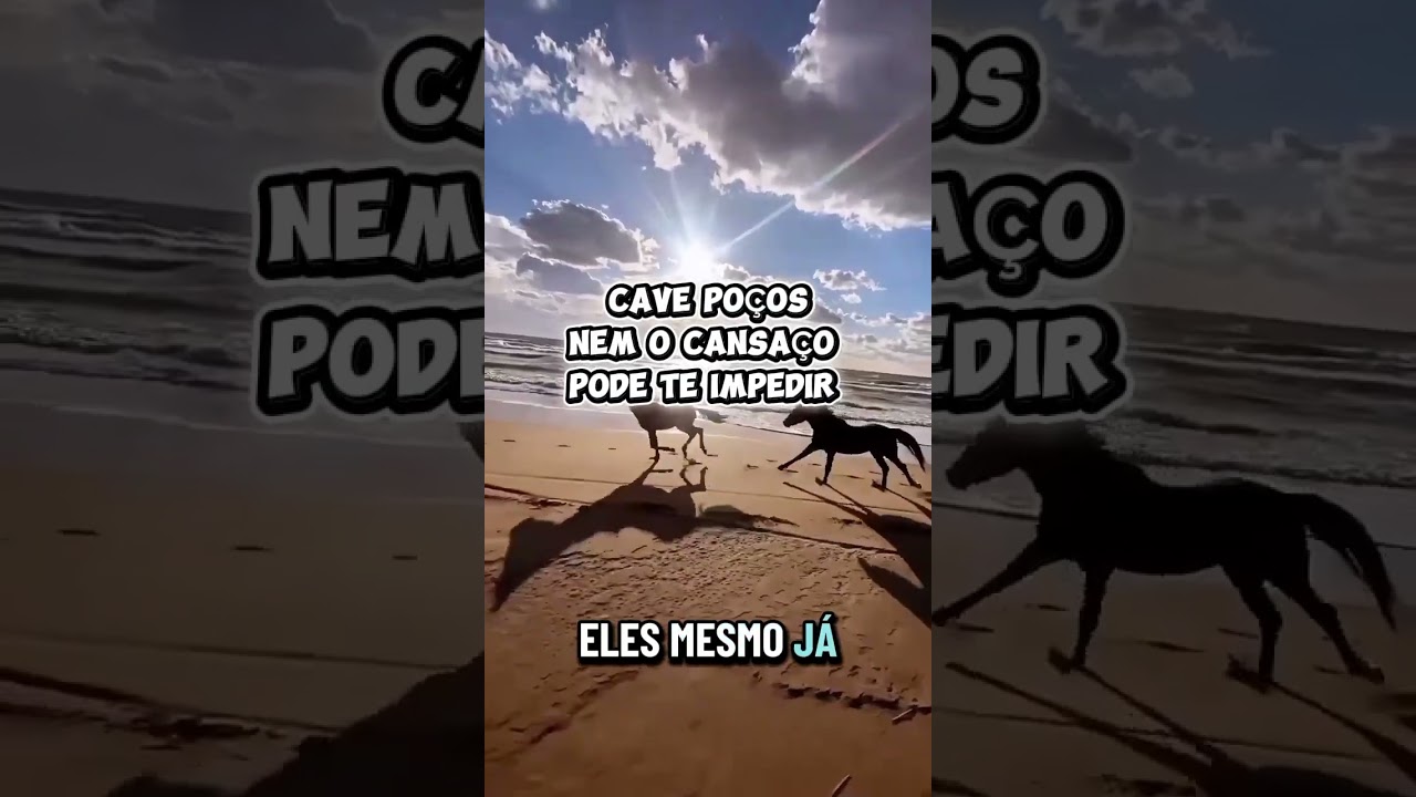 Devocional Diário 01751 - Cave Poços, Nem o Cansaço Pode te Impedir 