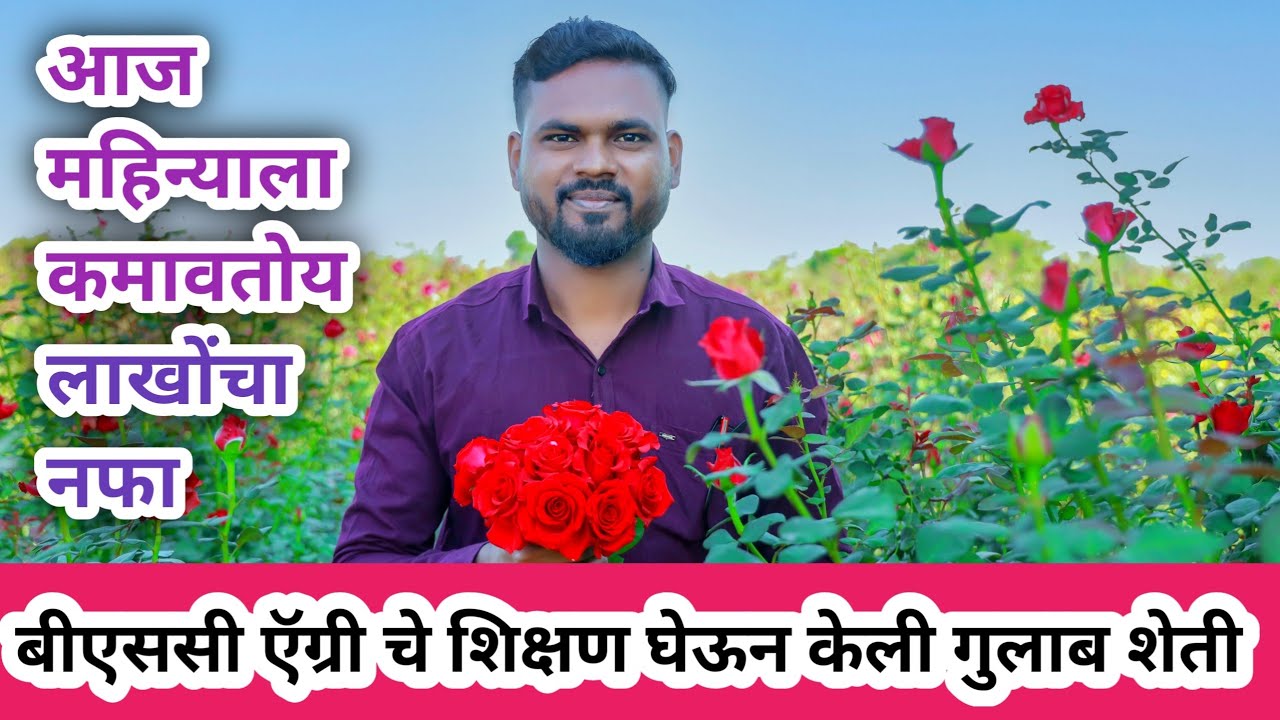 🌹गुलाब लागवडीपासून ते अगदी काढणीपर्यंत संपूर्ण मार्गदर्शन/ Rose Farming A to Z information🌹