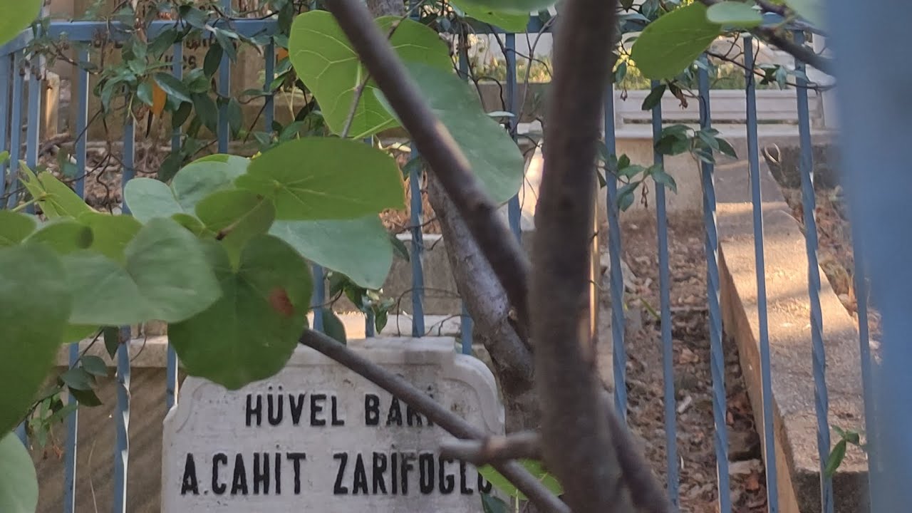 S - ( Cahit Zarifoğlu )
