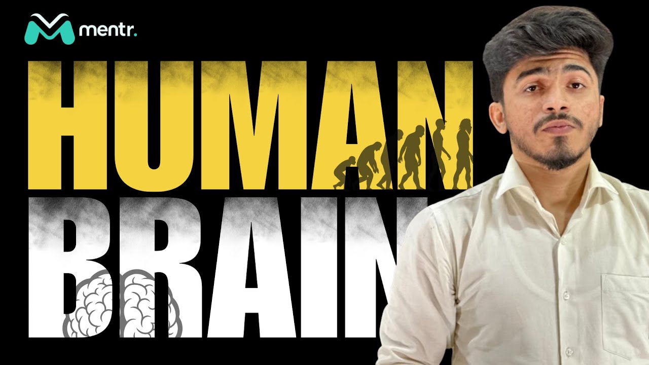 The Human Brain | A ..... to ..... Z