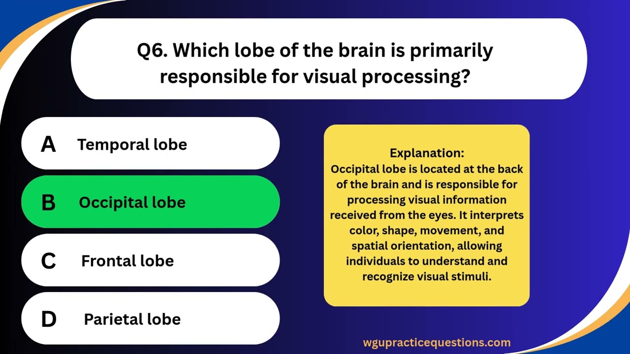C180 Introduction to Psychology Practice Questions