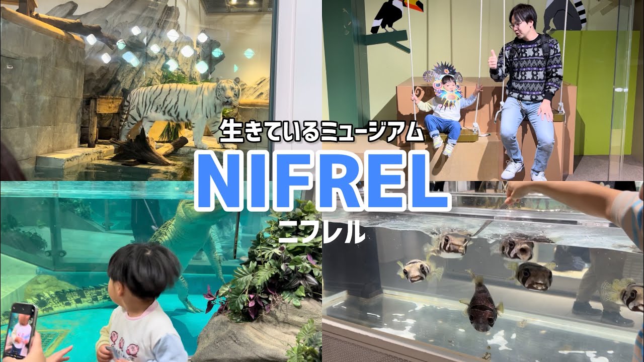 大迫力の動物たち！魚もいっぱい！お面作りも！？ニフレルが楽しすぎた【VLOG】