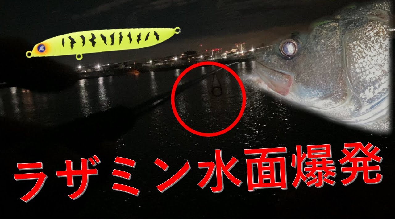 【ラザミン90】バチ抜け6誤爆で泣いた翌日リベンジにきた編【東京湾奥シーバス】
