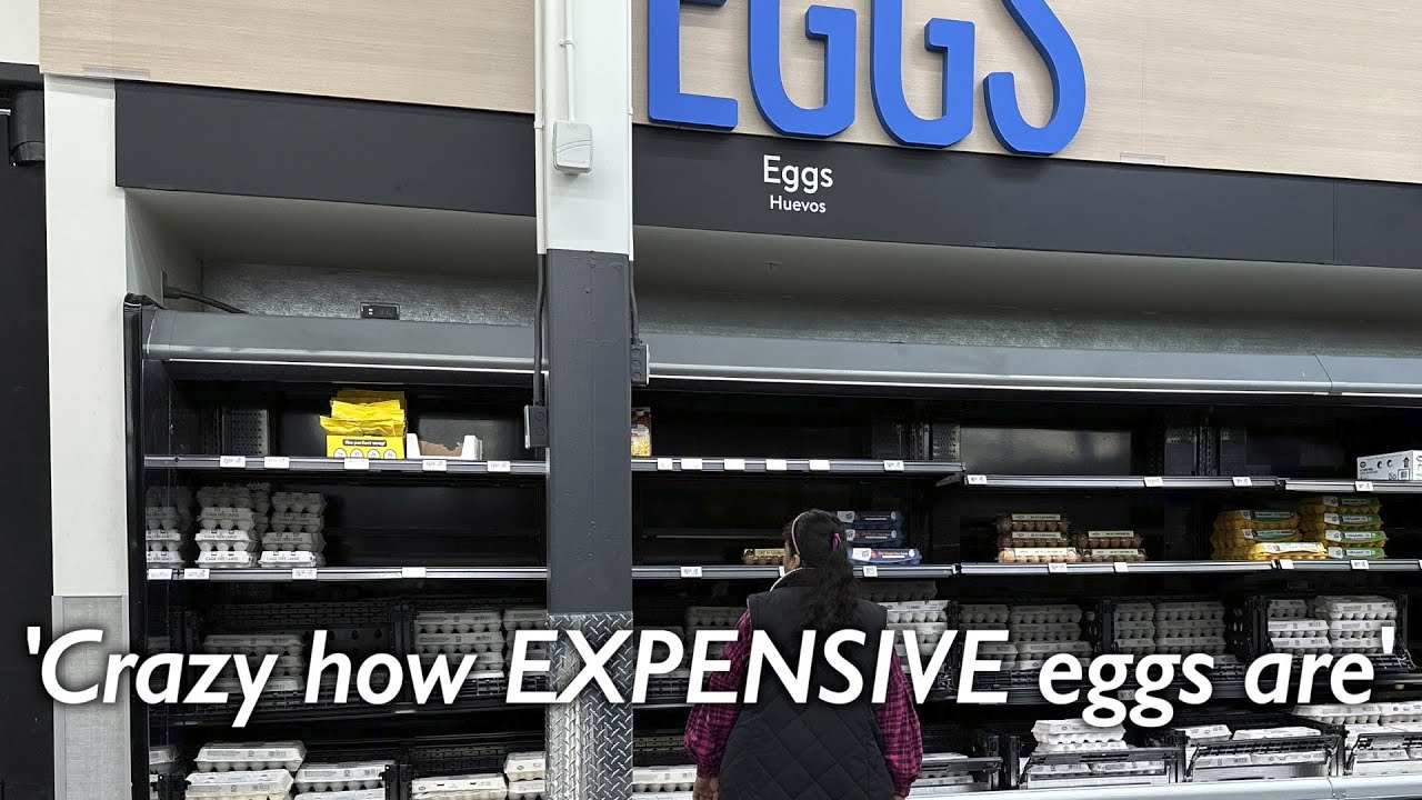 US eggs prices hit a record high and are likely to keep climbing amid a year-long bird flu