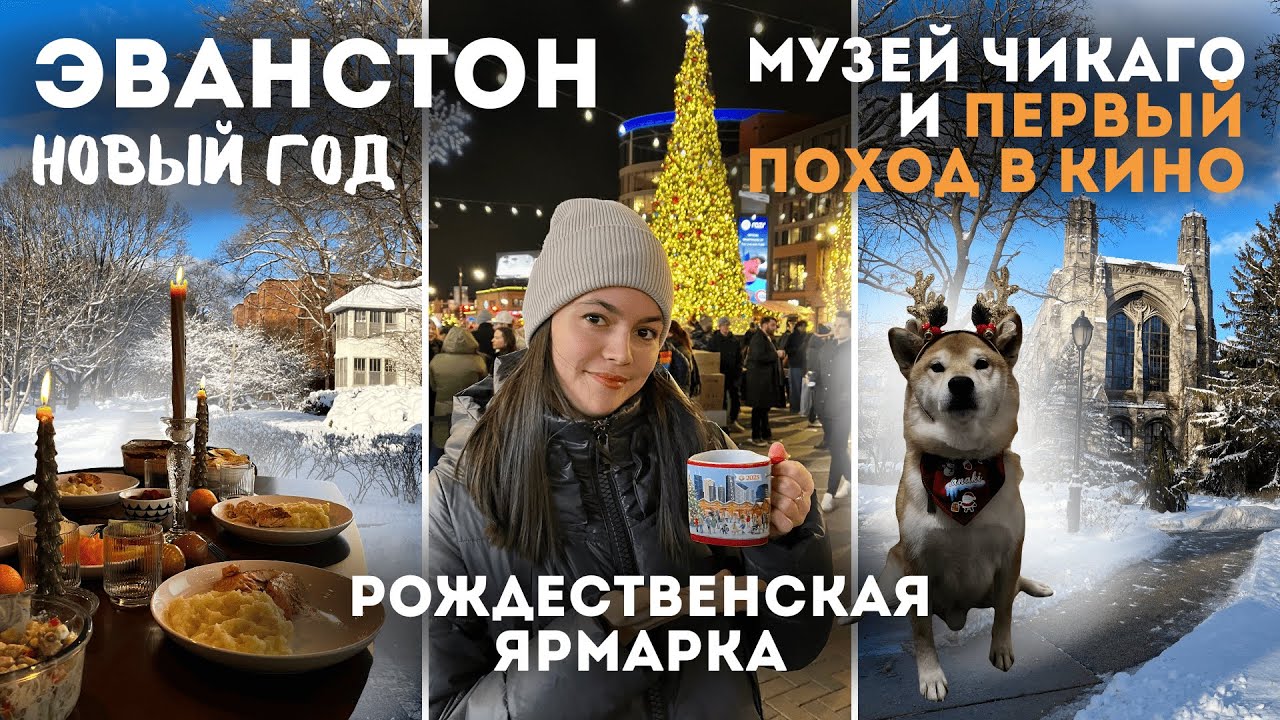 🇺🇸Декабрь в США: Эванстон, рождественская ярмарка,  дорогущий район Чикаго и наш Новый год🎄