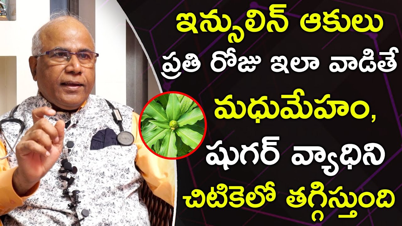 Amazing Health Benefits And Medicinal Values Of The Insulin Plant || Dr CL Venkat Rao