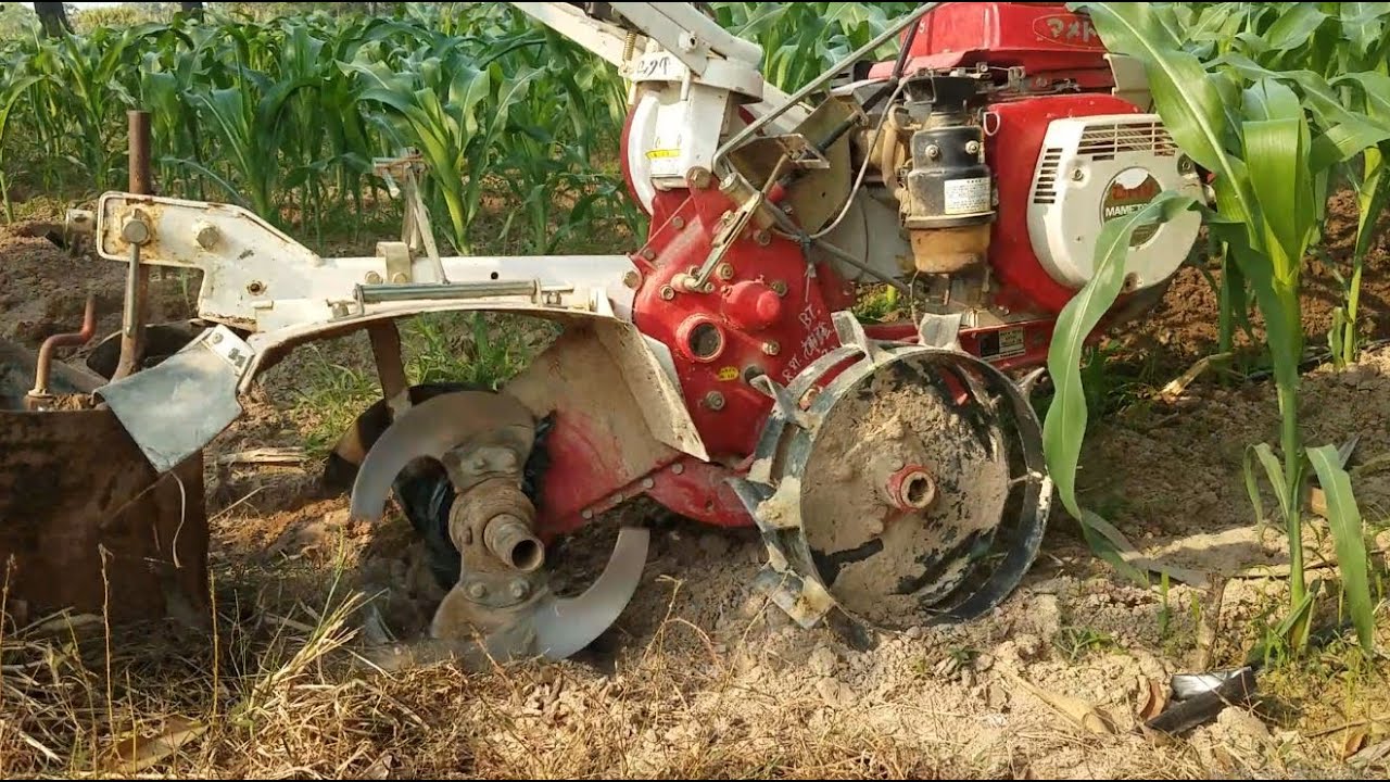 How to till soil for corn plant, Japanese Machine. ម៉ាស៊ីនពូនគល់ពោត