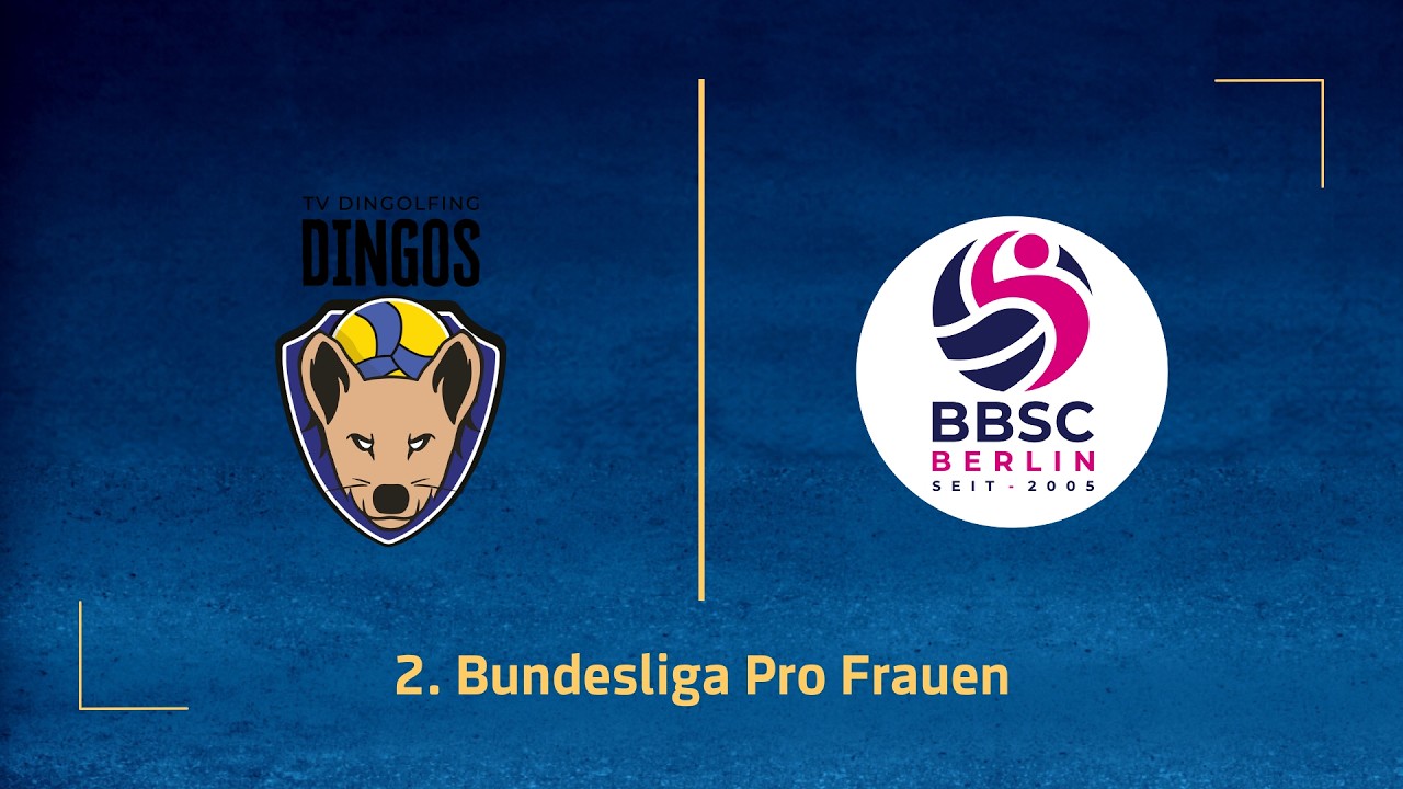 TV Dingolfing – BBSC Berlin (2. Volleyball Bundesliga Pro F 25/26)