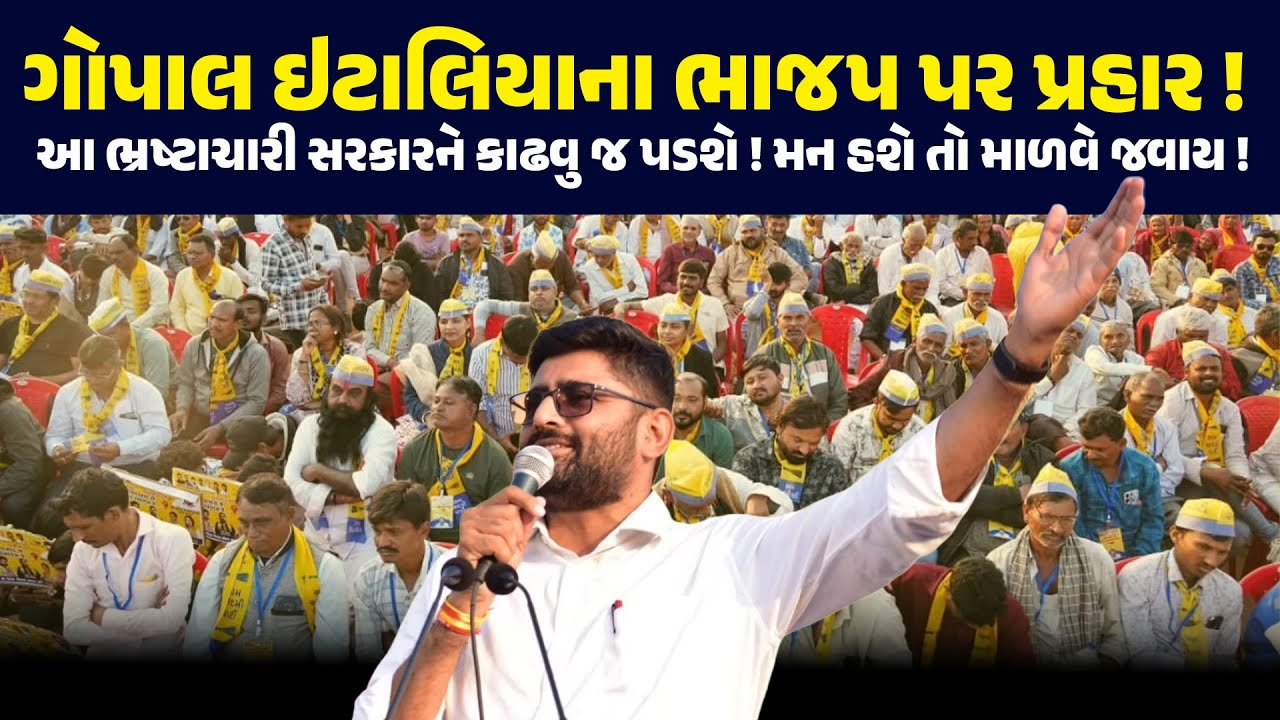 વડોદરામાં ગોપાલ ઇટાલિયા પર પ્રહાર ! ભ્રષ્ટાચારી ભાજપને કાઢવુ જ પડશે ! NEWSPORTER | GOPALITALIA | AAP