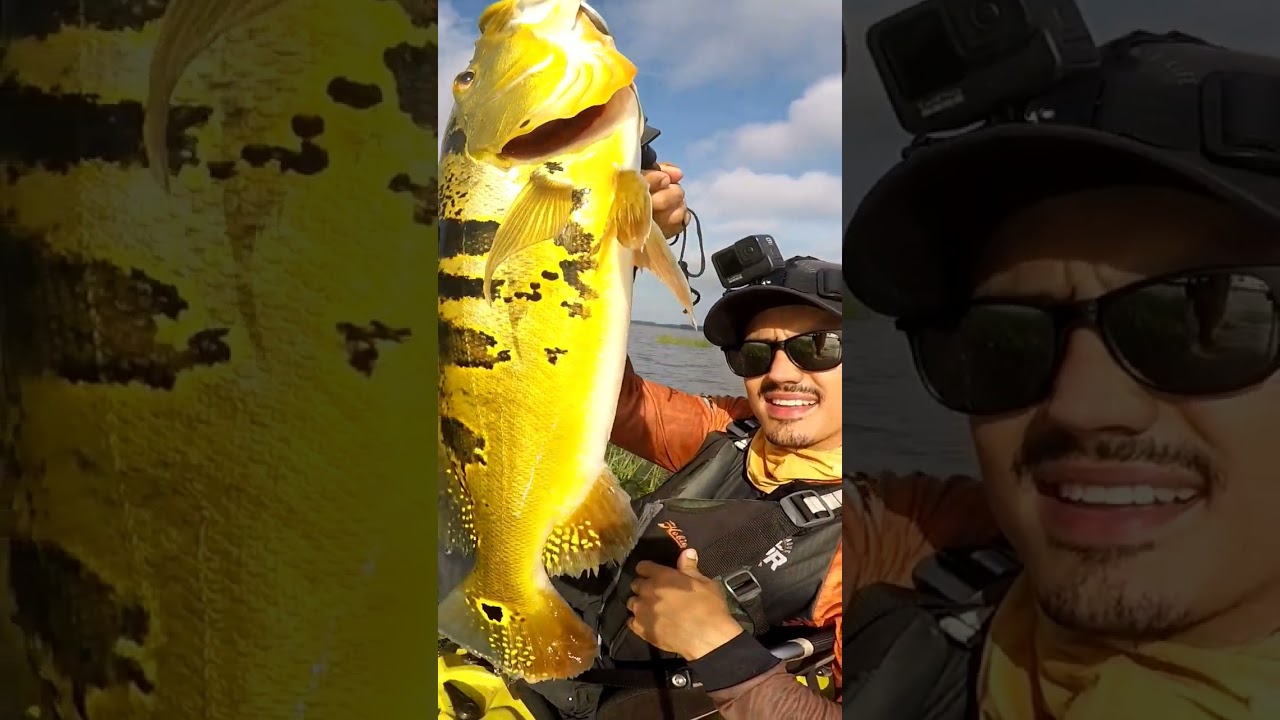 Essa isca &eacute; top! Catarina 75 da Lopes Lures