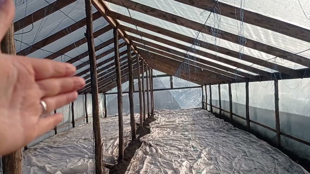 Огляд теплиці своїми руками