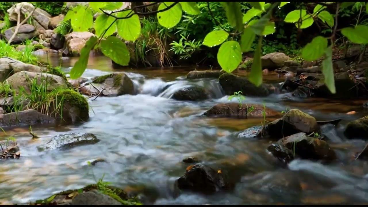 HOURS of Deep RELIEF Music That MELTS Stress & Anxiety Away (Ultimate Alpha Waves)