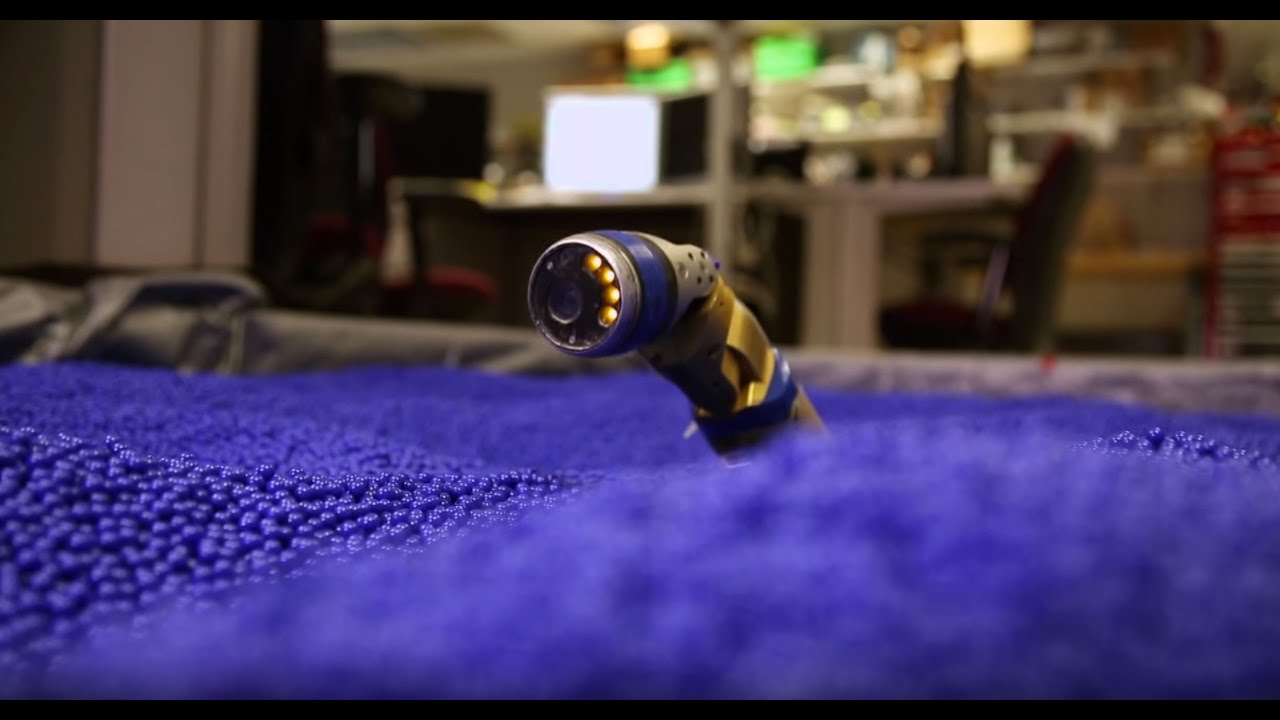 Snake Robot | The Henry Ford&rsquo;s Innovation Nation