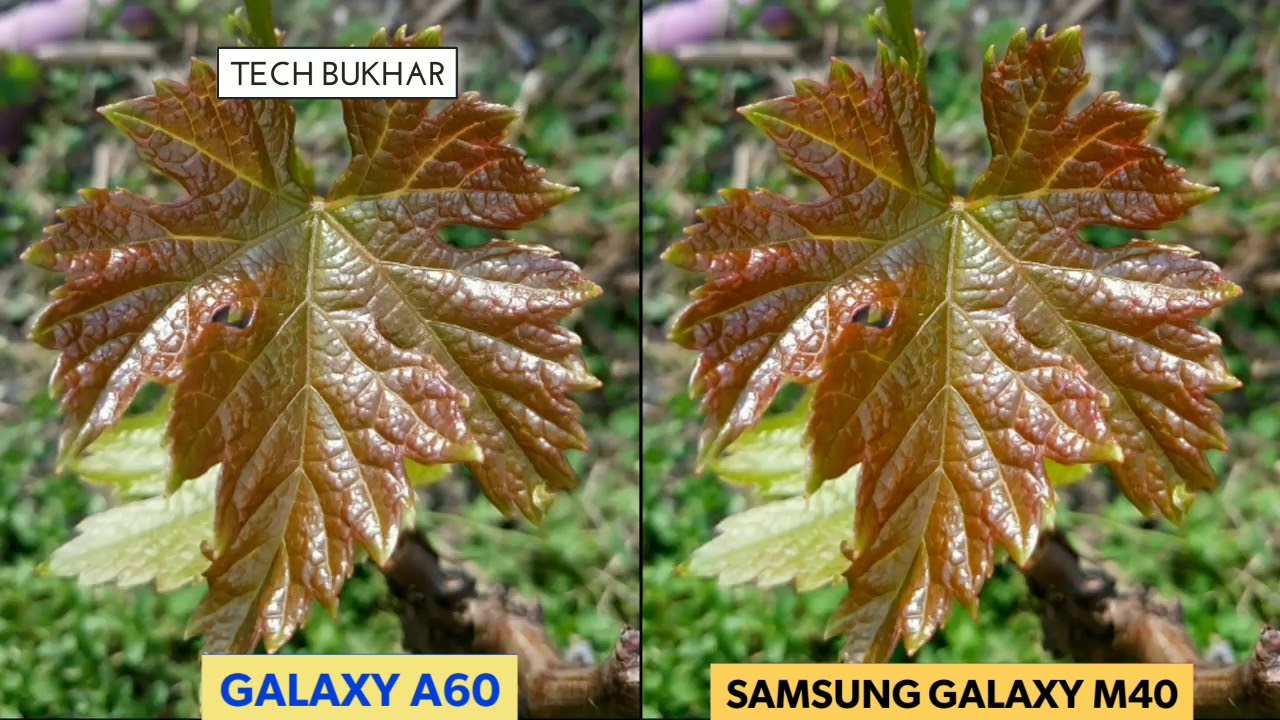 Galaxy M40 vs Galaxy A60 Camera Comparison || #GalaxyA60, #GalaxyM40, #TECHBUKHAR, M40 vs A70 Camera