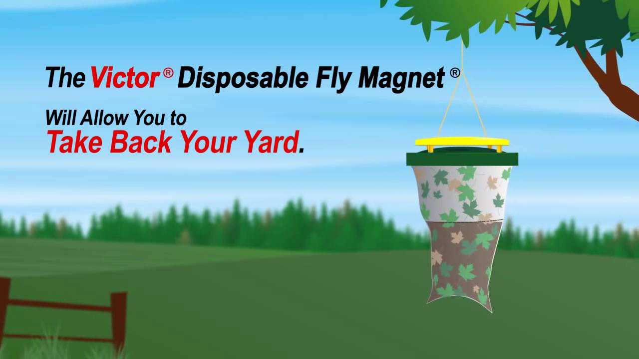 Get rid of flies, Victor Fly Trap, with eco friendly attractant