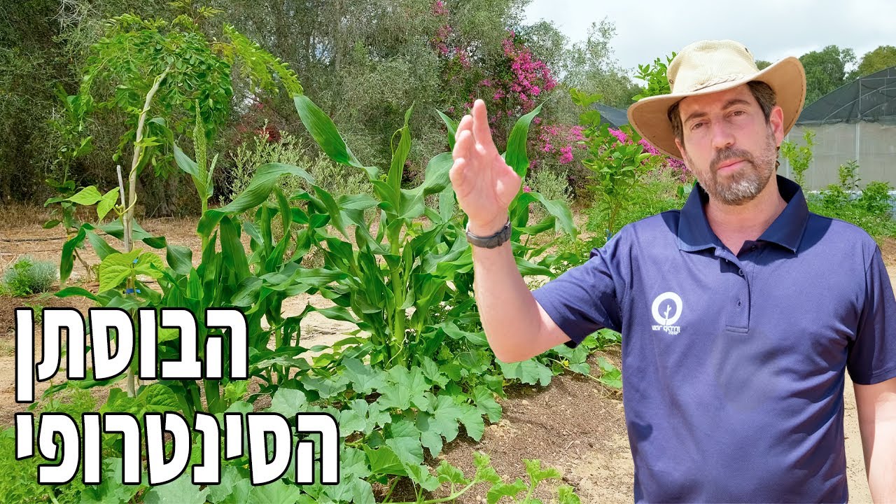 שתילת בוסתן בשיטה קלה (עם תוצאות מהירות)