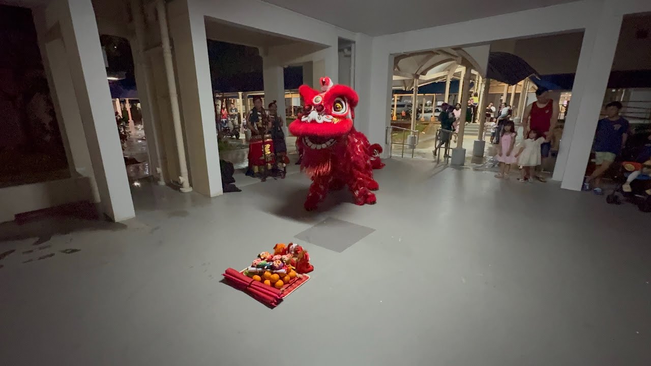 新加坡善威龍獅院 Shan Wei Lion Dance Cai Qing Performance at Tampines Hong San See 24 February 2026