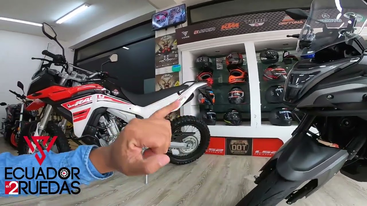🤯Voge 300 DS VS Loncin Rally 300🤤 OFF-ROAD y ON-ROAD ficha técnica, precio, características