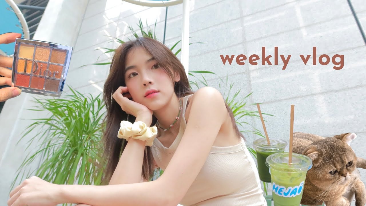 vlog 🌤  三月购物分享💖🛒｜超紧张的工作天🥶｜猫咖啡厅🐱｜日式烤肉shabushabu 探店🥓