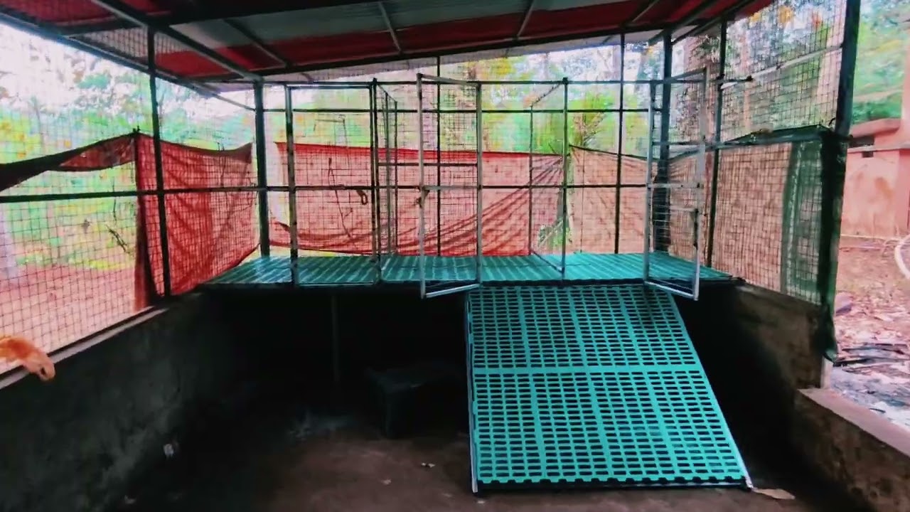 നമ്മുടെ ആട്ടിൻ കൂട്ടിൽ പുതിയോരു കൂട്. 🧿